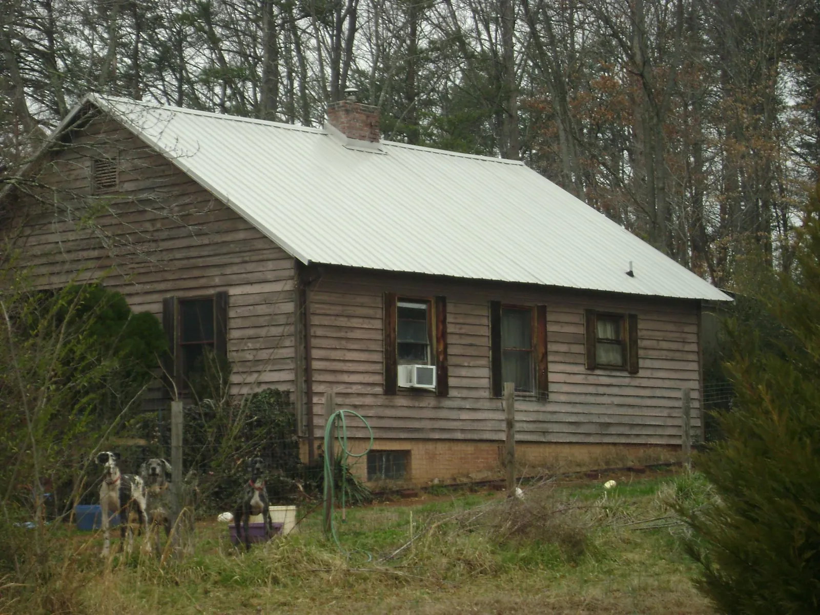 White metal roof on an old wood sided farmhouse, from a Asphalt Shingle Roof Repair job in Post Falls